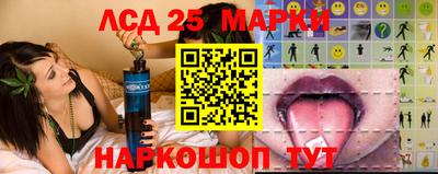стафф Бердск