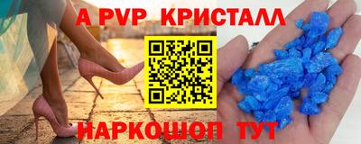 стафф Бердск