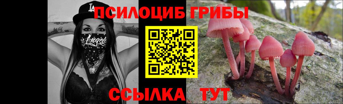 Псилоцибиновые грибы мухоморы Бугуруслан